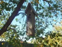 Casa Verde, the Casita Center