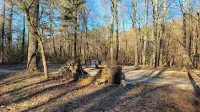 AMRock Cabin - Direct access to Ouachita National Forest and Wolf Pen Gap Polk County 호텔