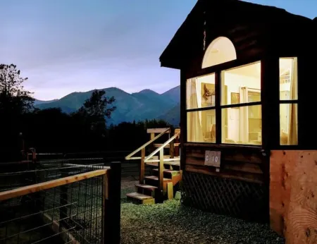 Tiny house experience with horses, goats and pigs. Near Sequoia National Park