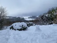Ferienhaus am Hennesee - Henneliebe