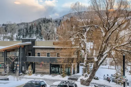 Luxury Condo within walking distance to all the restaurants, shopping and bars.