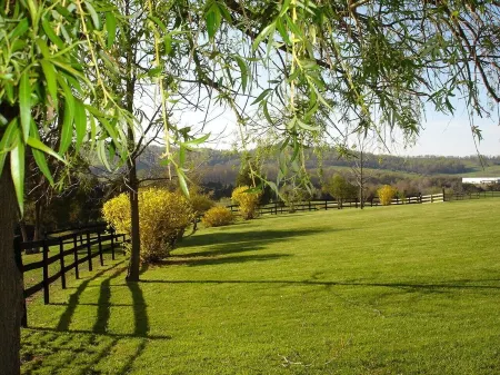 Servants' Cottage on 600 Acre Working Horse/Cattle Estate