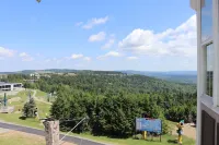 Allegheny Springs Slope Side Penthouse - Amazing Views