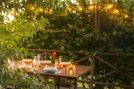 Old farmhouse surrounded by olive groves and near the village, max 5 adults, with pool