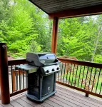 Paradise in the Lakes Region