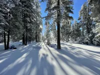 Solitude in the Cedars, Spacious Mountain Home