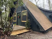 A-frame Blue Ridge Parkway Cabin - Pet Friendly