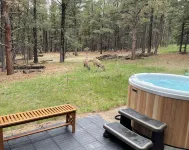 Angel Fire Chalet Nestled in the Pines, convenient to Ski and Golf w/Hot Tub
