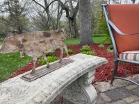 Hidden Northfield Cottage Hotels in Northfield