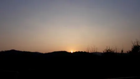 Garden view vacation apartment with garden & terrace on a hillside in Dahner Felsenland