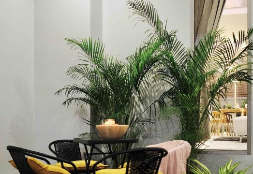 Townhouse4 2BR monkey hill