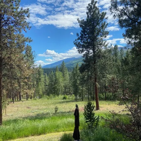 Westside 4-bdrm cabin between Hamilton & Victor with WiFi, AC. Enjoy your stay