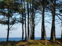 HOLIDAY 'THE WATERFRONT' Hotels in Borgo