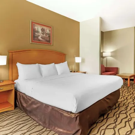 Comfort Inn & Suites Chesapeake - Portsmouth