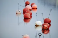 Vallevikens Hotell och Restaurang