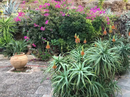 Villa with Pool Sea View Fitness