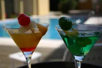 Hotel de Ilhavo Plaza & Spa - bar