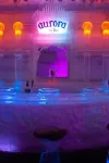 Chena Hot Springs Resort - bar