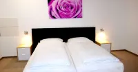Budget Hotel Ludwigshafen Hotels in Mutterstadt