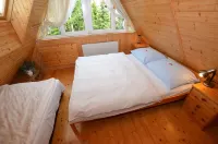 Nice Holiday Home with Fireplace in the Ore Mountains Near the Chairlift