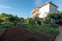 The Apartments Consists of Two Bedrooms, a Bathroom, a Kitchen and a Living Room