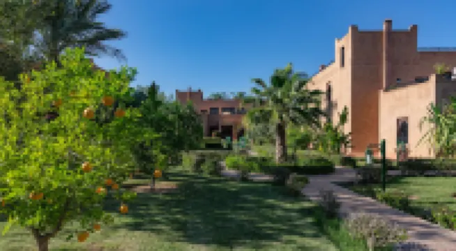 L'Oliveraie de l'Atlas