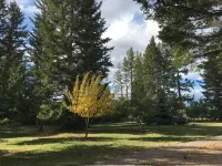 Swan Mntn View--Entire, Private Basement Suite, Close to GNP, Whitefish & Lake.