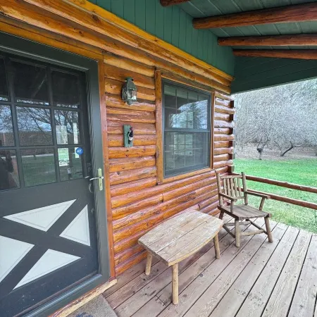 Cozy Harbor Springs cabin meticulously maintained on 4 acres.