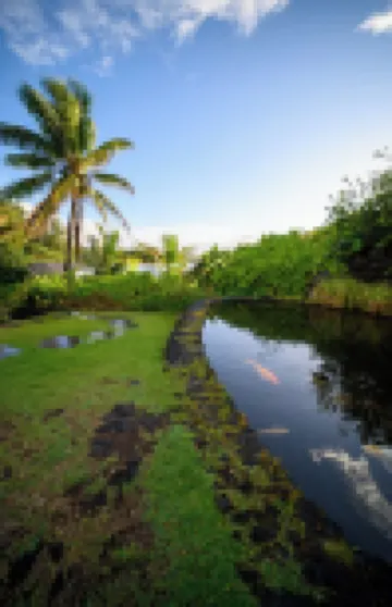 Oceanview Condo in Hana-Let the ocean lull you to sleep