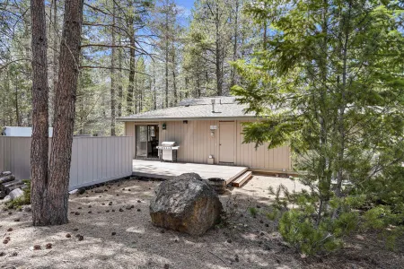Hot Tub, Sharc Passes and Spacious Outdoor Patio - Charming Hideaway