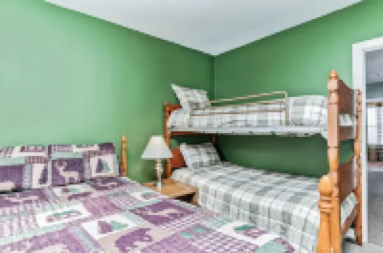 Relaxation and Snowmobile Trails - Amazing Adirondack Retreat