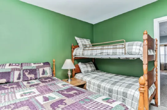 Relaxation and Snowmobile Trails - Amazing Adirondack Retreat