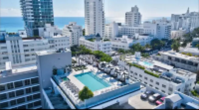 Rooftop Pool and City Views - Stunning South Beach Sanctuary