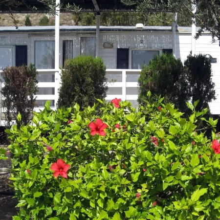 Camping & Bungalow Cueva Negra