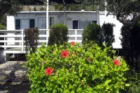 Camping & Bungalow Cueva Negra