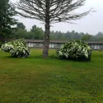 Becket Motel - parking