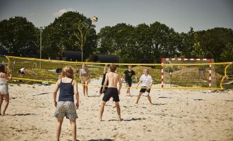 Arena Midt