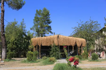 Fark Edenler Camping&Caravan&Bungalows