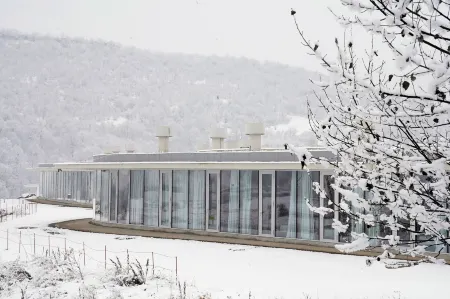 Concept Hotel by Coaf Отели в г. Ванадзор