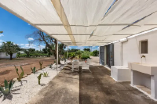 122 라미아 마드레펄라 바이 바바하우스