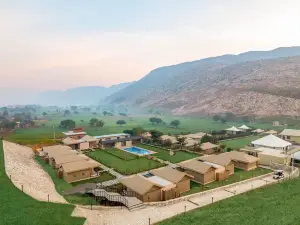 Sterling ReWild Sariska
