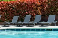 Hotel Piccadilly - piscina