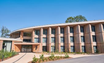 Loisium Wine & Spa Hotel Champagne