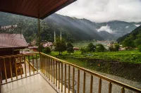 Ilhan Kardesler Apart Hotel - Mountain View