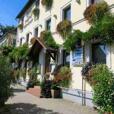 Hotel zur Pfalz Hotel Exterior