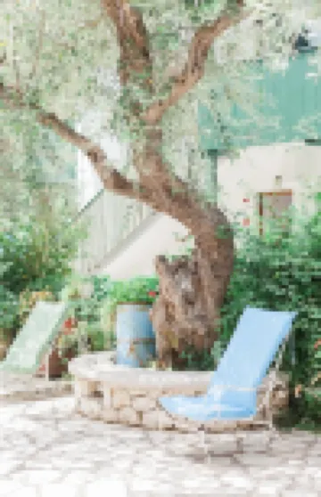 阿弗洛狄忒旅館