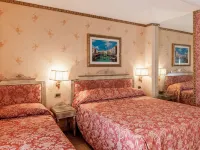 Hotel Venezia Hotels near Museum M9