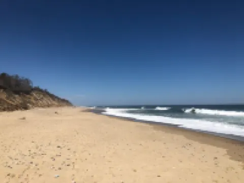 錫格羅夫套房和旅館 伊斯特姆酒店