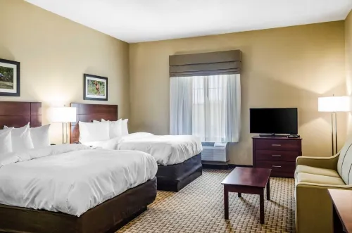 MainStay Suites Hackberry Sportsman's Lodge - Wifi