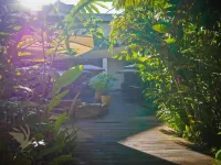 Jacana Amazon Wellness Resort Hotels in Paramaribo